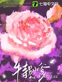 不务正夜