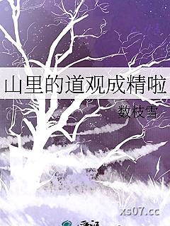 山里的道观成精啦小说封面-数枝雪-言情