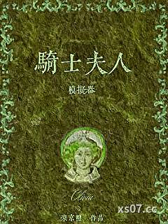 骑士夫人模拟器