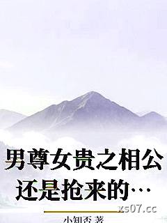 男尊女贵之相公还是抢来的香