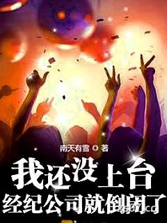 我还没上台，经纪公司就倒闭了小说封面-南天有雪-都市