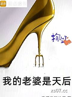 我的老婆是天后小说封面-我爱吃烧仙草 著-都市