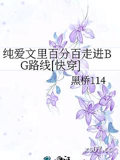 纯爱文里百分百走进BG路线[快穿]小说封面-黑桥114-ＢＬ同人
