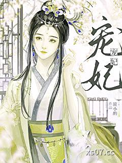 宠妃小说封面-简小酌-轻小说