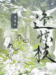 逢惊枝小说封面-弦珂-历史