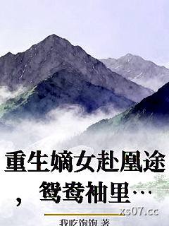 重生嫡女赴凰途，鸳鸯袖里握兵符 作者：我吃饱饱 分类：小说