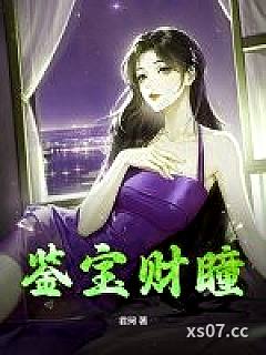 鉴宝财瞳小说封面-君珂-都市
