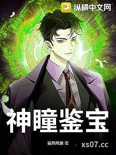 神瞳鉴宝小说封面-鲨鱼风暴-都市