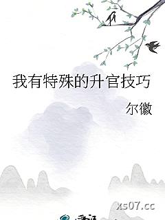 我有特殊的升官技巧 作者:尔徽 分类:小说