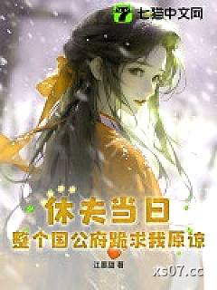 休夫当日，整个国公府跪求我原谅