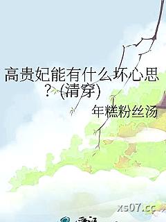 高贵妃能有什么坏心思？(清穿)