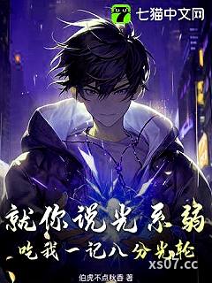 就你说光系弱？吃我一记八分光轮！小说封面-伯虎不点秋香-都市