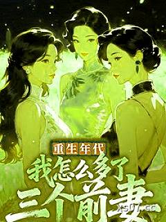 重生年代：我怎么多了三个前妻小说封面-雨时梅花-都市