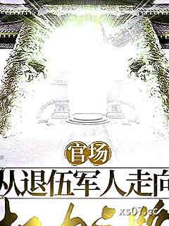 官场：从退伍军人走上权力之路