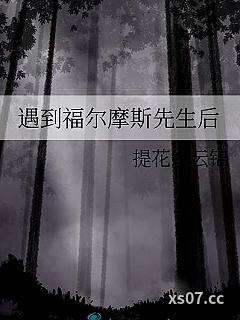 遇到福尔摩斯先生后小说封面-提花织云锦-都市