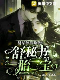 易孕体质曝光，舒秘书一胎三宝小说封面-西凉如故-言情