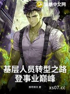 基层人员转型之路：登事业巅峰小说封面-那年那天-都市