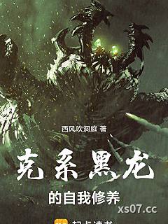 克系黑龙的自我修养小说封面-西风吹洞庭-穿越重生