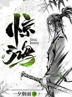 惊鸿小说封面-一夕烟雨-武侠