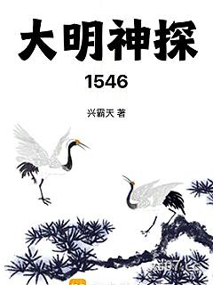 大明神探1546