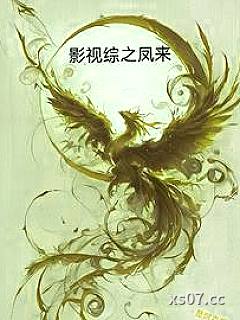 影视综之凤来