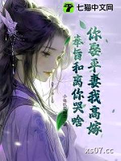 你娶平妻我高嫁，奉旨和离你哭啥？小说封面-小兔叽爱码字-言情
