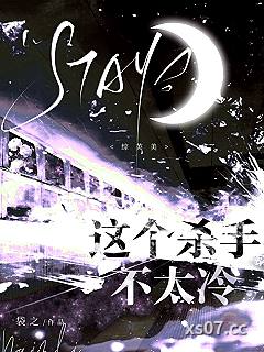 这个杀手不太冷[综英美]小说封面-袋之-都市
