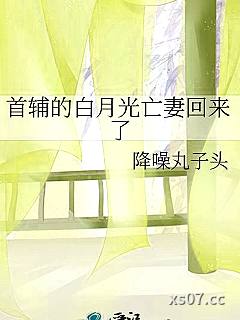 首辅的白月光亡妻回来了小说封面-降噪丸子头-其他