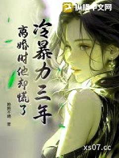 冷暴力三年，离婚时他却慌了小说封面-晚晚不晴-言情