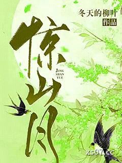 惊山月小说封面-冬天的柳叶-都市
