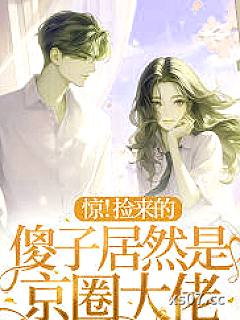 惊！捡来的傻子居然是京圈大佬 作者：杨金豆