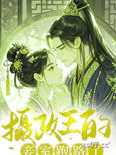 摄政王的妾室跑路了小说封面-繁华锦世-言情
