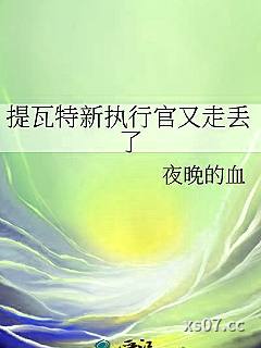 提瓦特新执行官又走丢了小说封面-夜晚的血-轻小说