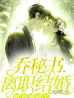 乔秘书离职结婚，陆总醋疯了小说封面-七月的桑桑-言情