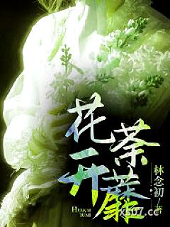 花开荼蘼小说封面-林念初-都市