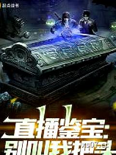 直播鉴宝：别叫我把头小说封面-地摊上的拖鞋-都市
