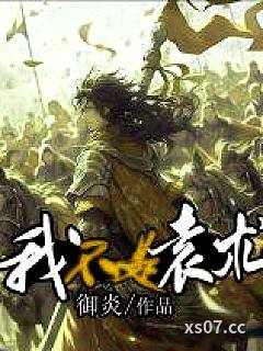 我不是袁术