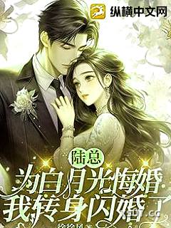 陆总为白月光悔婚，我转身闪婚了小说封面-徐徐风-都市