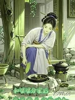 和婆婆分家后，我养崽盖房粮满仓小说封面-米糕膏-都市
