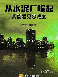 从水泥厂崛起：我能看见忠诚度小说封面-柠檬炒辣椒-都市