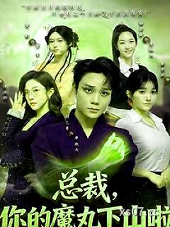 总裁，你的魔丸下山啦 作者：士子之心 分类：小说