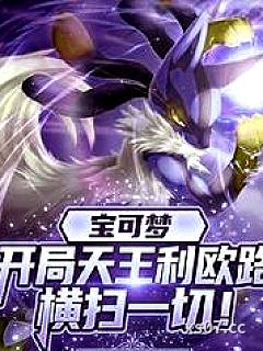 宝可梦：开局天王利欧路横扫一切小说封面-彼梦相思-言情