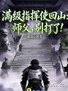 满级指挥使回山：师父，别打了小说封面-馨雨心愿-都市