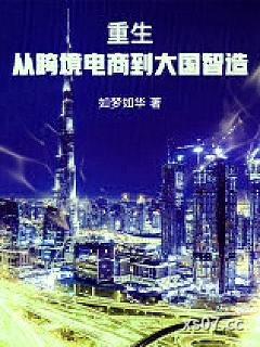 重生：从跨境电商到大国智造 作者：如梦如华