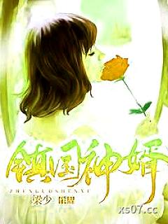 镇国神婿