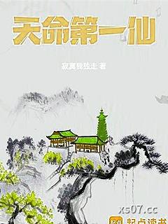 天命第一仙