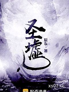 圣墟小说封面-辰东-玄幻