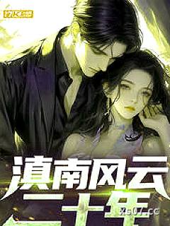 滇南风云二十年小说封面-风流萧书生-言情