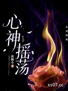 心神摇荡小说封面-唐颖小-都市