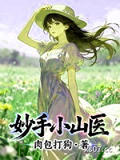 妙手小山医小说封面-肉包打狗-仙侠